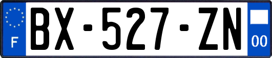 BX-527-ZN