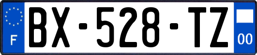 BX-528-TZ