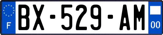 BX-529-AM