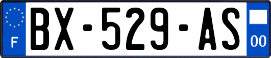 BX-529-AS