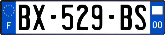 BX-529-BS