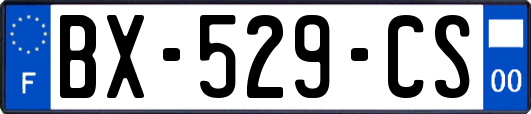 BX-529-CS