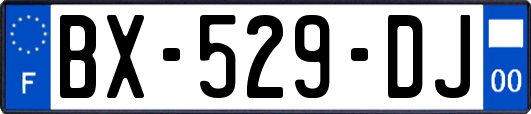 BX-529-DJ