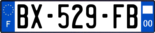 BX-529-FB