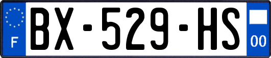 BX-529-HS