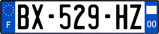 BX-529-HZ