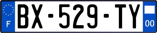 BX-529-TY