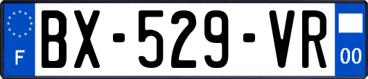 BX-529-VR