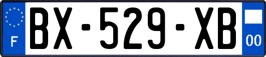 BX-529-XB