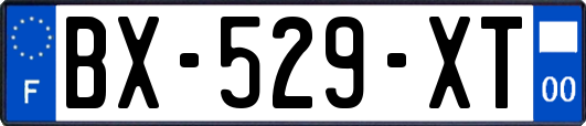 BX-529-XT