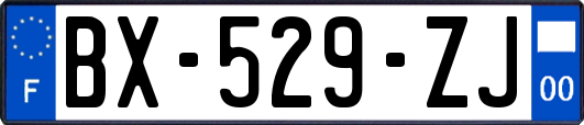 BX-529-ZJ