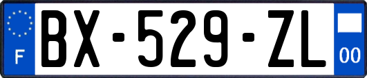 BX-529-ZL