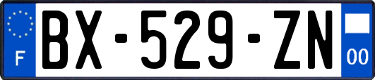 BX-529-ZN