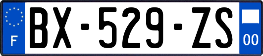BX-529-ZS