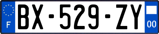 BX-529-ZY