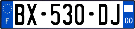 BX-530-DJ