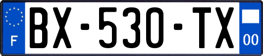 BX-530-TX