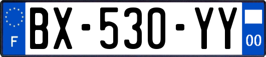 BX-530-YY