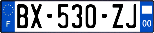 BX-530-ZJ