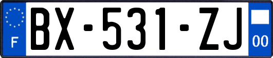 BX-531-ZJ