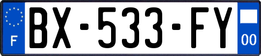 BX-533-FY