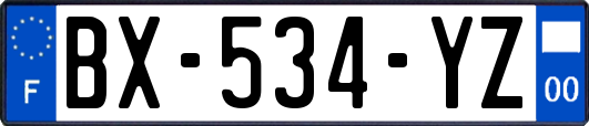 BX-534-YZ