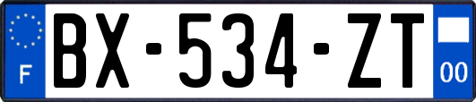 BX-534-ZT