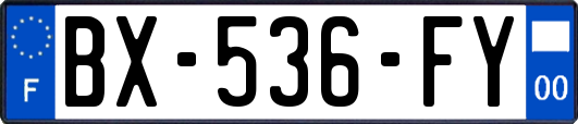 BX-536-FY