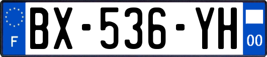 BX-536-YH