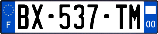 BX-537-TM