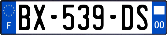 BX-539-DS