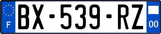 BX-539-RZ