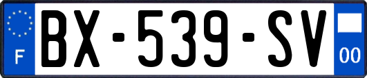 BX-539-SV