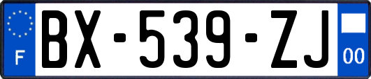 BX-539-ZJ