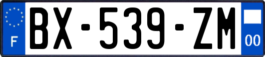 BX-539-ZM