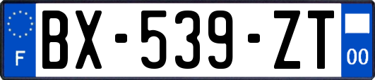 BX-539-ZT