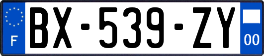 BX-539-ZY