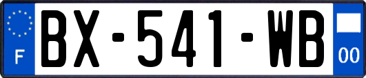 BX-541-WB