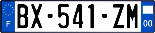 BX-541-ZM