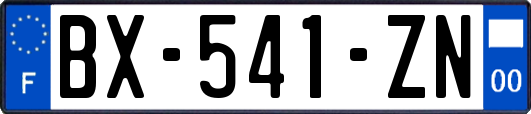 BX-541-ZN