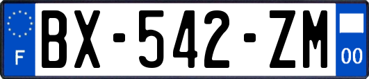 BX-542-ZM