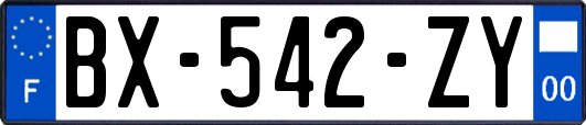 BX-542-ZY