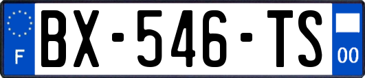 BX-546-TS