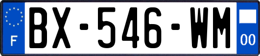 BX-546-WM