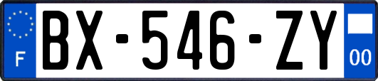 BX-546-ZY