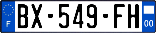 BX-549-FH