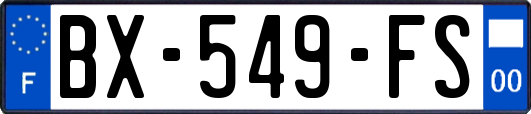 BX-549-FS