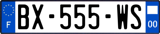 BX-555-WS