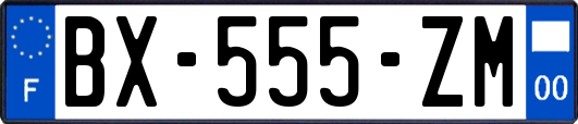 BX-555-ZM