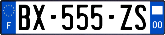 BX-555-ZS